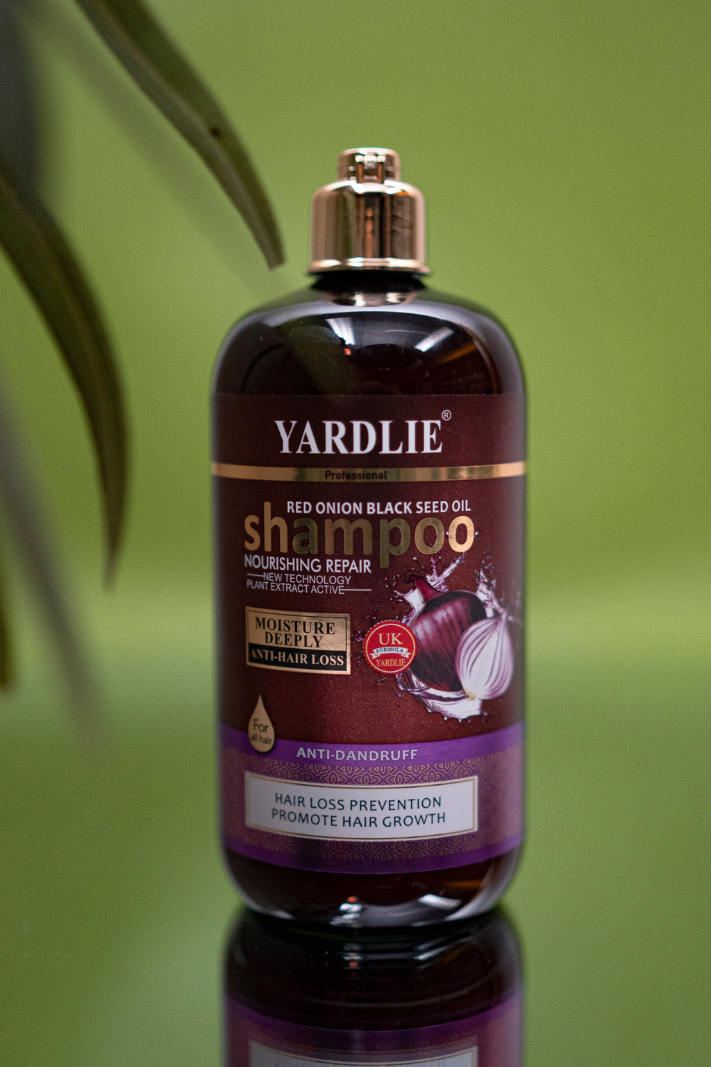 Yardlie Red Onion Black Seed Oil Moisture Deeply Anti-Hair Dandruff Shampoo 500ml